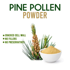 Cracked Cell Wall Pine Pollen Powder 80g
